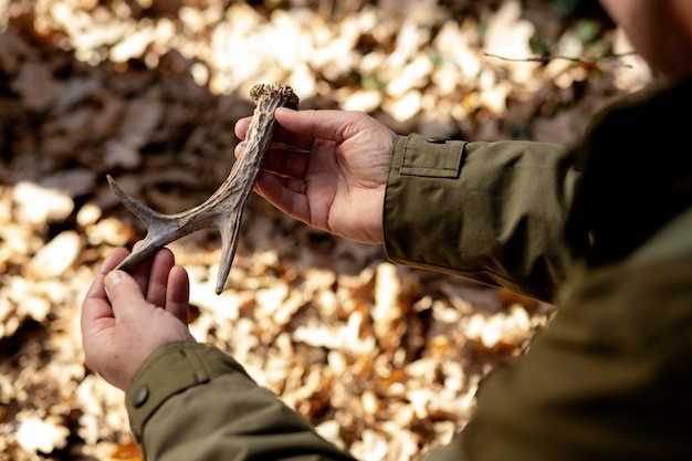 Ammunition storage tips for hunters