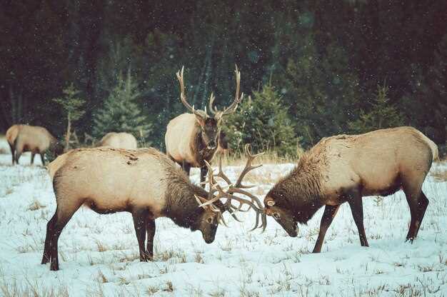 Choosing the Right Caliber for Each Species