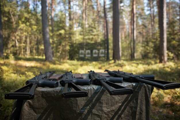Tips for Maintaining Your First Rifle on a Budget