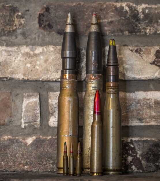 Top Cartridge Choices for Extreme Distance Accuracy