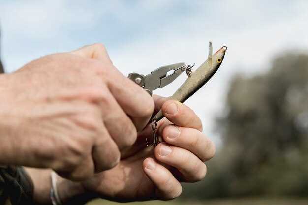 How to Properly Maintain Your Hunting Knife