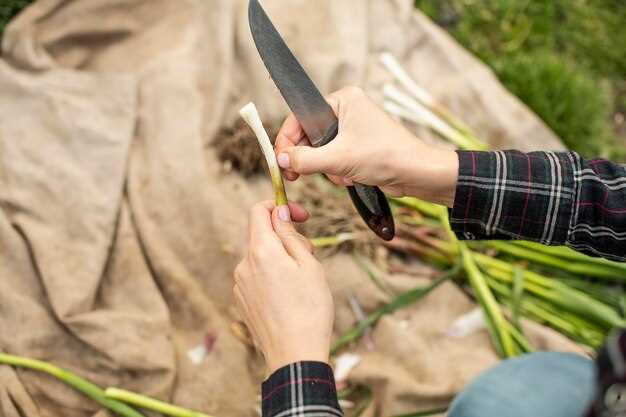 Buying your first hunting knife – what to look for