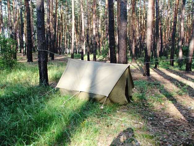 Top Features to Look for in a Hunting Tent for Optimal Performance