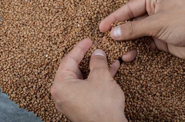 How to choose grain weight for your hunt