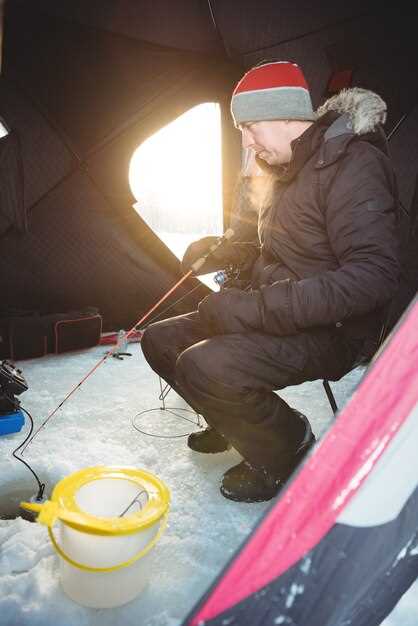 Essential Maintenance Steps Before Storing Your Bow