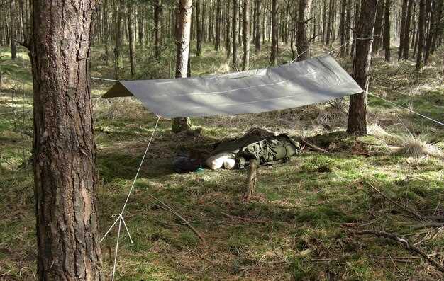 Setting Up for Comfort and Accessibility in Your Blind