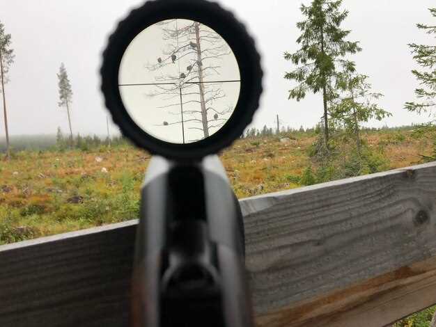 Preparing Your Rifle and Scope for Zeroing