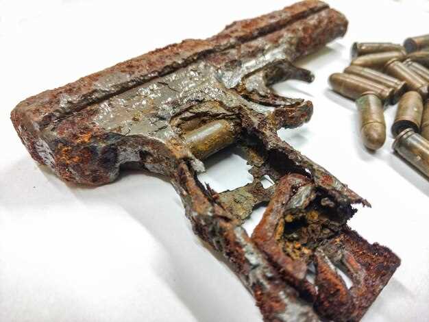 Preventing rust and moisture damage on guns