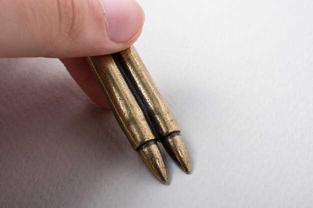 Choosing the Right Equipment for Ammo Reloading