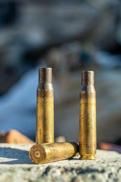Reloading your own ammo – beginner’s guide