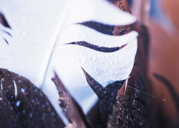 How Temperature Variations Influence Bullet Trajectory