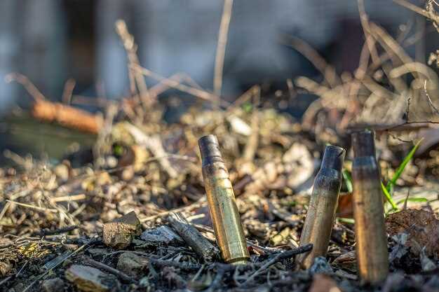 The effects of weather on ammo performance
