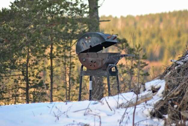 How to Set Up Your Trail Camera for Optimal Scouting