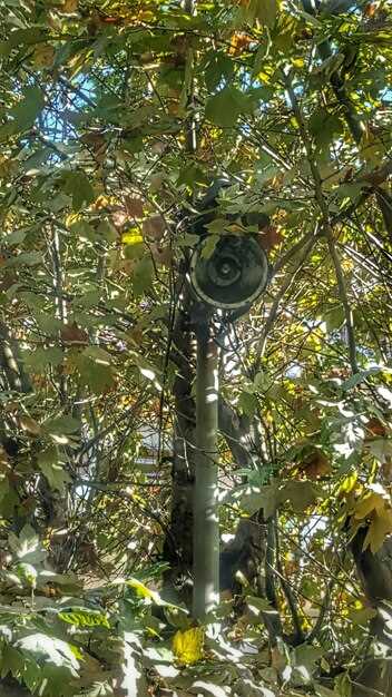 Top trail cameras for scouting in 2025