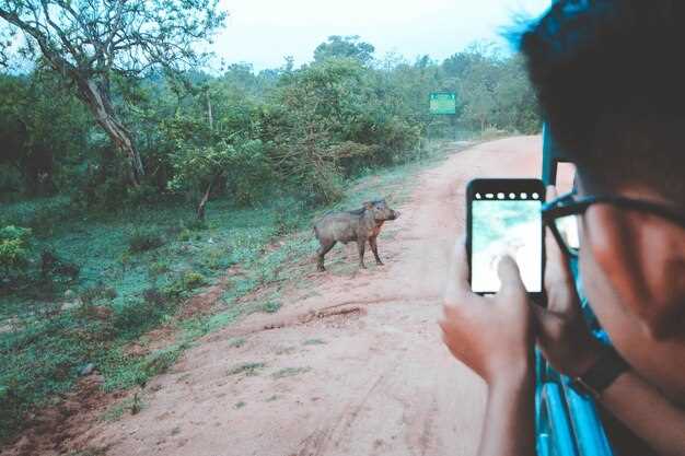 Choosing the Right Trail Camera for Your Scouting Needs