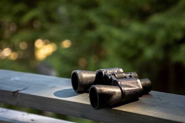 Best Practices for Using Night Vision Monoculars During Hunts